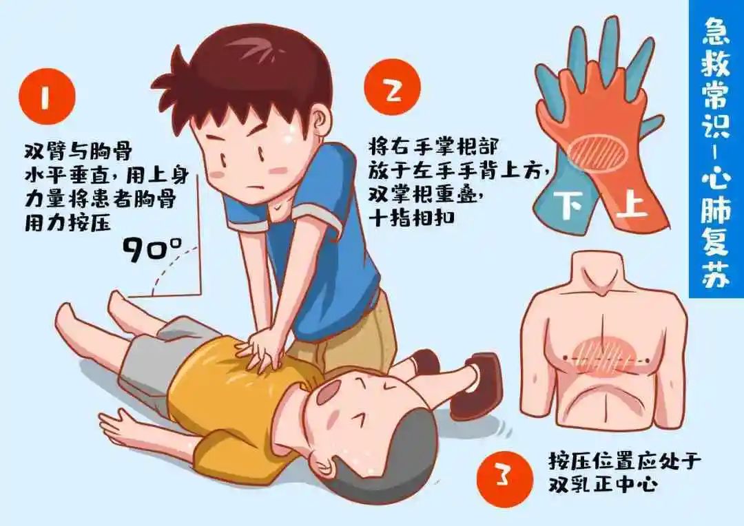心跳呼吸骤停是临床和生活中经常遇到的最危急的情况，在通常情况下，大脑缺氧缺血达到4~6分钟即可造成不